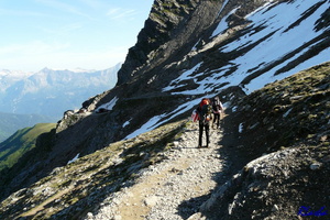 20100625 005 Alpes FR74 NidDAigle