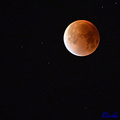 2015-09-28 Eclipse lune 12