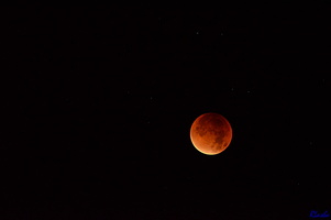 2015-09-28 Eclipse lune 05