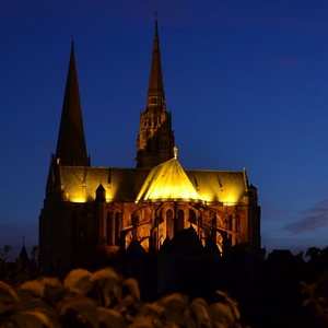2/09 - Chartres de nuit (28)