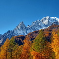 2016-10-29 10 Vers Planpicieux Italie - Vue sur Mont-Blanc Aiguilles de Pauterey.jpg