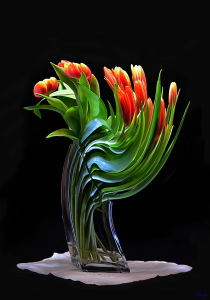 Tulipes (2).jpg