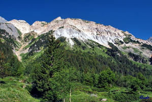 2017-06-22 Pralognan - Petit Mt Blanc (09)