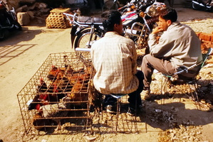 2001-11-05 Népal -Tour Annap 044