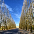 2020-01-16 Versailles Parc (51).jpg