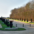 2020-01-16 Versailles Parc (06).jpg