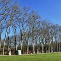 2020-01-16 Versailles Parc (05).jpg