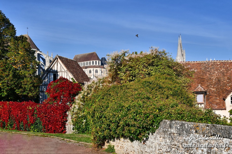 2020-10-18 - Chartres (31).jpg