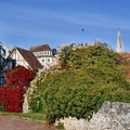 2020-10-18 - Chartres (31).jpg