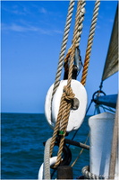 2025-06-14 - Granville - Chausey (6)