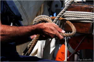 2025-06-14 - Granville - Chausey (9)