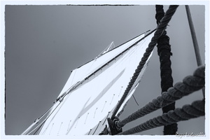 2025-06-14 - Granville - Chausey (12)