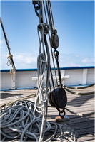 2025-06-14 - Granville - Chausey (16)