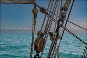 2025-06-14 - Granville - Chausey (19)