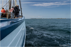 2025-06-14 - Granville - Chausey (23)