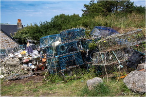 2025-06-14 - Granville - Chausey (38)