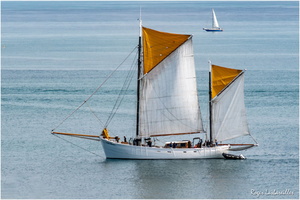 2025-06-14 - Granville - Chausey (39)