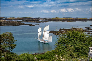 2025-06-14 - Granville - Chausey (40)