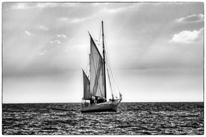 2025-06-14 - Granville - Chausey (45)