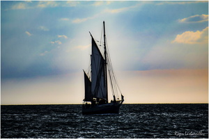 2025-06-14 - Granville - Chausey (46)