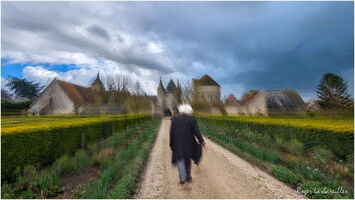 Château de Talcy 2024