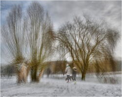 Etang de Luisant 2021