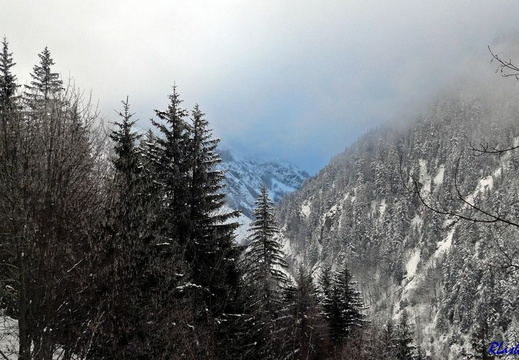 Janvier - Alpes - Isère divers