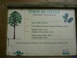 20090509 007 LaPerriere FR61 CheneDeLEcole