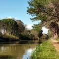 2015-04-07 171 Canal Roubine.jpg