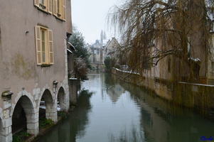 2013-02-25 Chartres 023