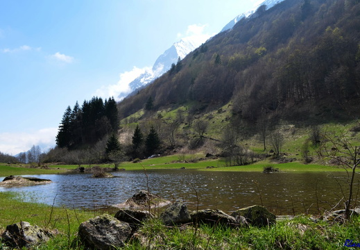 4/04 - Alpes - Col d'Ornon (38)