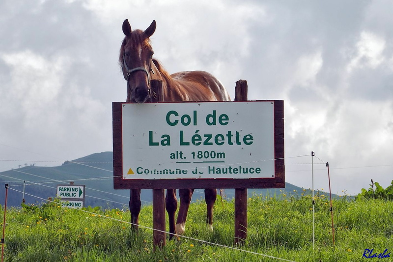 2016-06-27 02 Col Lezette.jpg