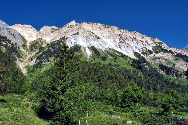 2017-06-22 Pralognan - Petit Mt Blanc (09).jpg
