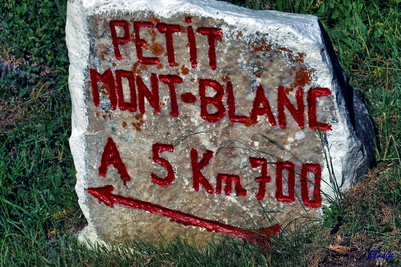 2017-06-22 Pralognan - Petit Mt Blanc (11).jpg