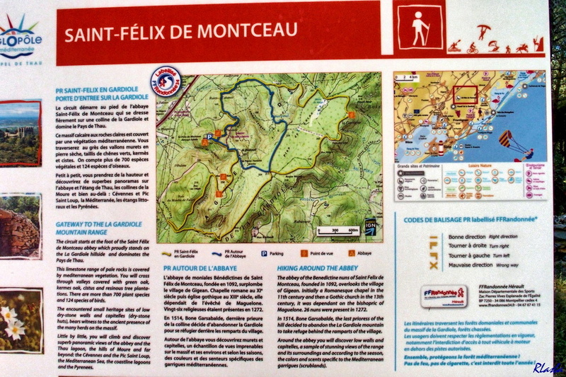 2019-05-31 Herault1 - rando St Felix de Montceau (01).jpg