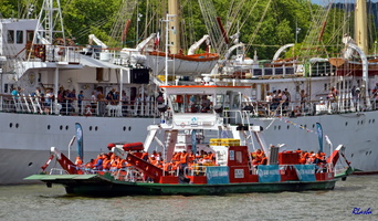 2019-06-15 Rouen - Armada (32)