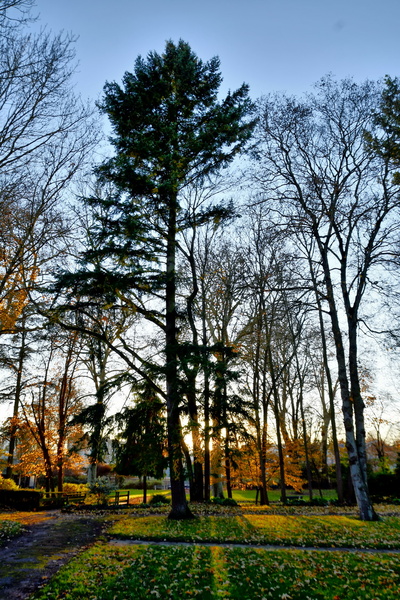 2019-12-02 - Chatres - Parc des Bords de l'Eure (3).jpg