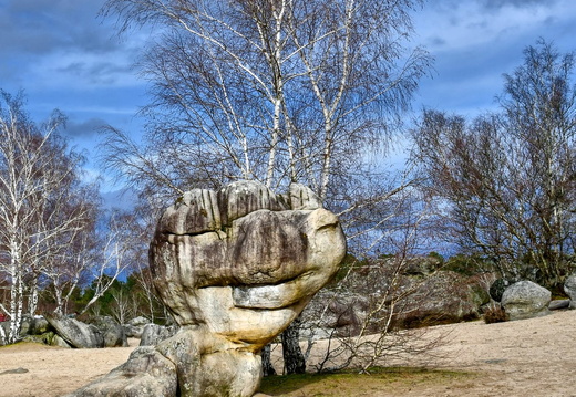 19/02 - Forêt de Fontainebleau - Trois Pignons